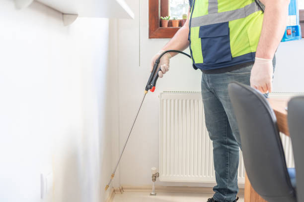 Best Termite Control Services  in Cologne, MN